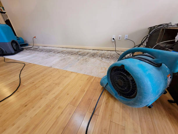 Professional Water Damage Repair technician working in Marthasville, MO
